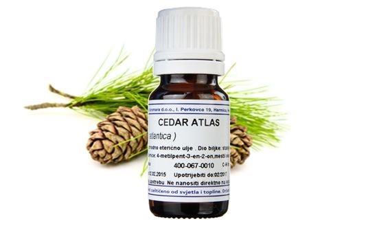 cedar